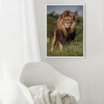 Lion | The King Wall Art