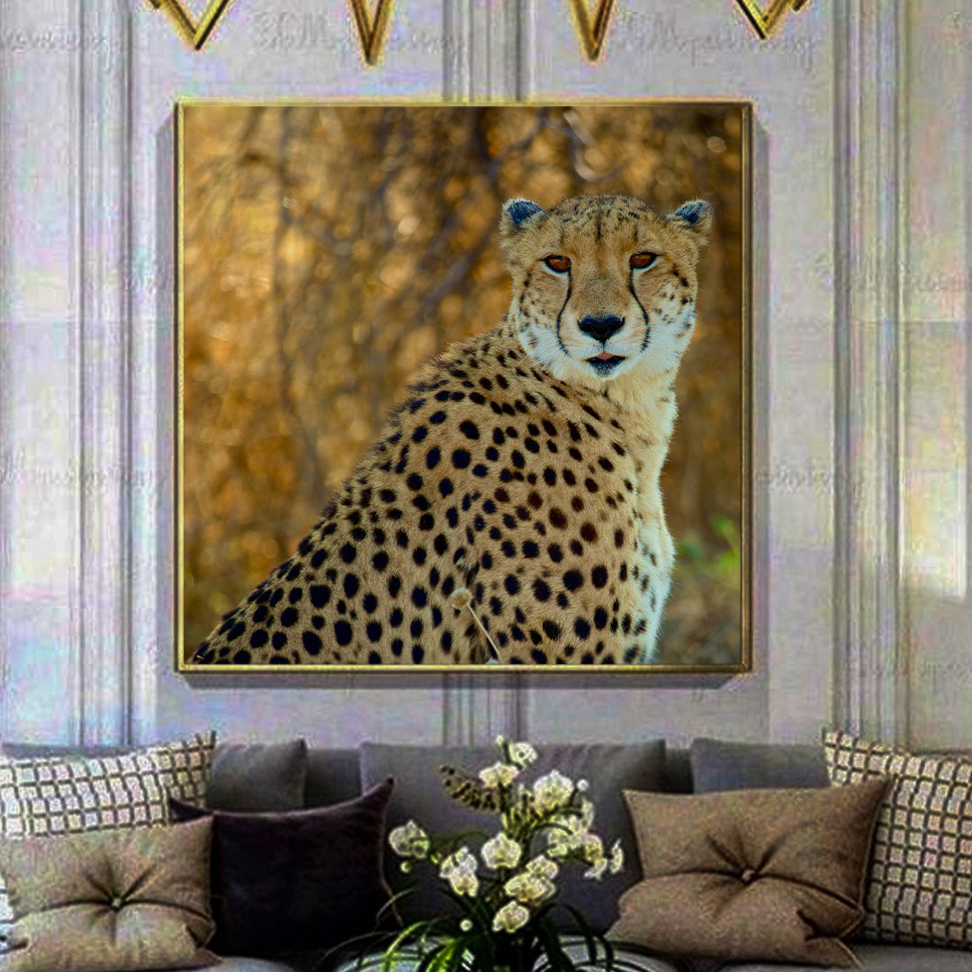 South African Cheetah | Animal Art