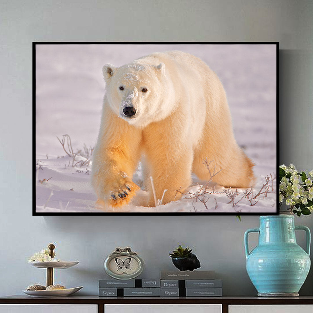 Polar Bear | Animal Wall Art