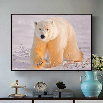 Polar Bear | Animal Wall Art