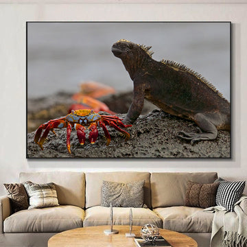 Marine Iguana and Sally Lightfoot | Animal Wall Art