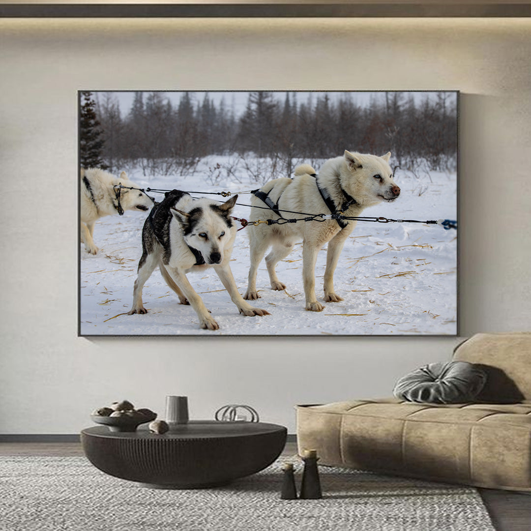 Huskies Pulling Dog Sled | Animal Art