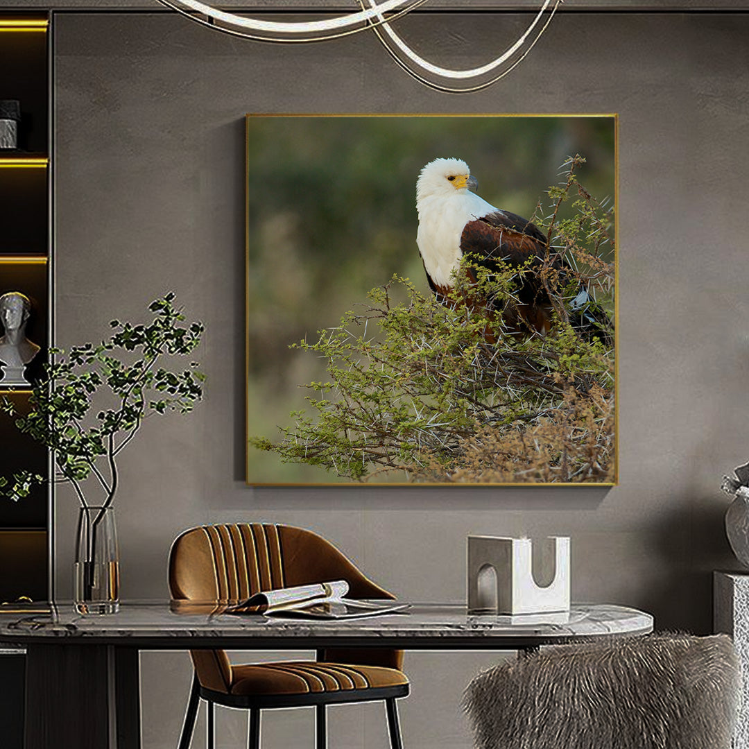 Beautiful Shot of African Fish Eagle | Nature Wall Art