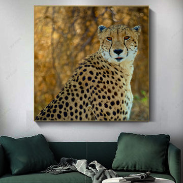 Cheetah Posing on HD Canvas | Animal Wall Art