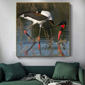 Saddle-billed Stork | Nature Wall Art