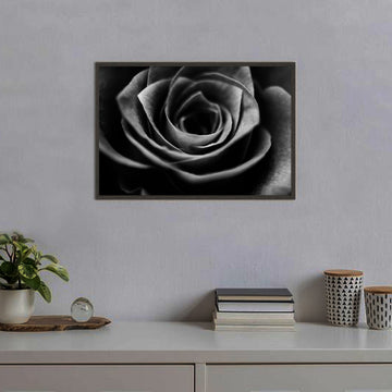 Black Sugar Rose | Artistic Wall Art